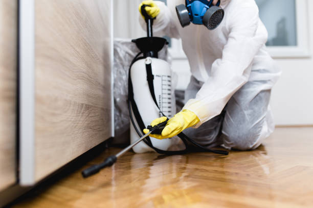 Best Local Pest Control Services  in Sagamore, MA