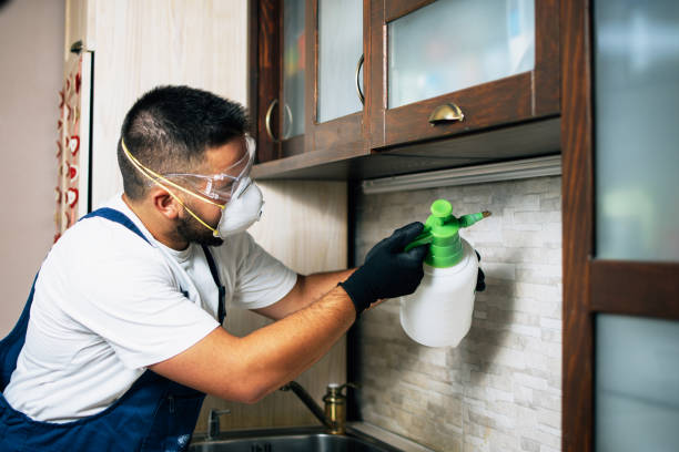 Best Commercial Pest Control Services  in Sagamore, MA