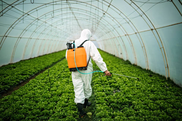 Best Pest Removal Services  in Sagamore, MA