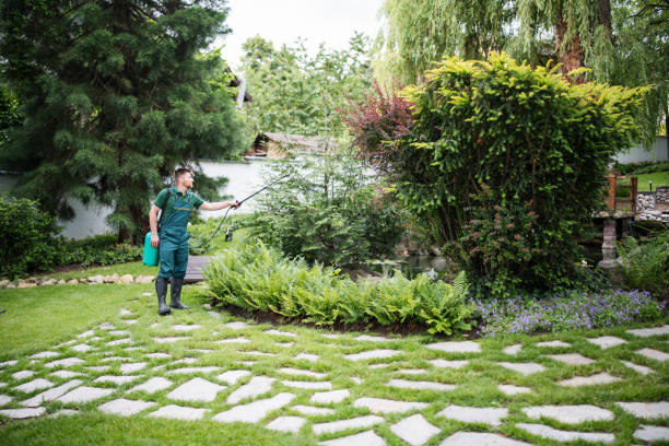 Best Residential Pest Control  in Sagamore, MA