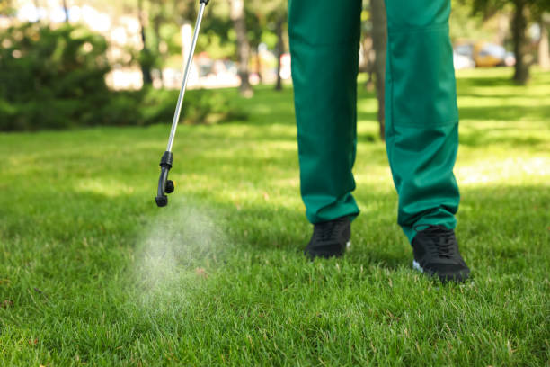 Best Wildlife Control Services  in Sagamore, MA