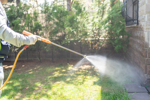 Best Local Pest Control Services  in Sagamore, MA