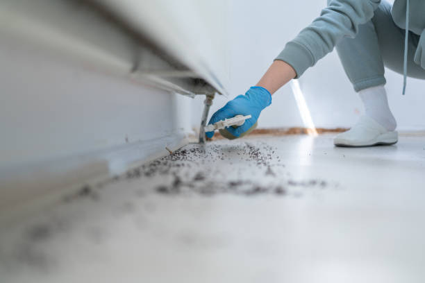 Best Commercial Pest Control Services  in Sagamore, MA