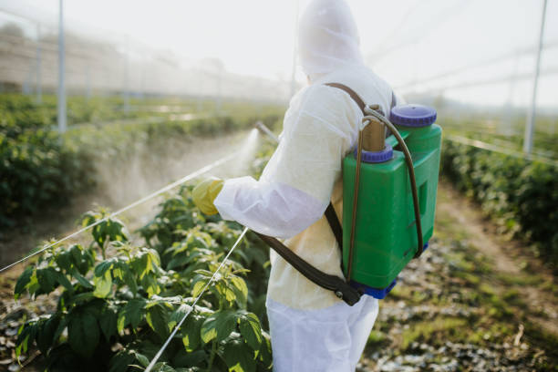 Best Best Pest Control Companies  in Sagamore, MA
